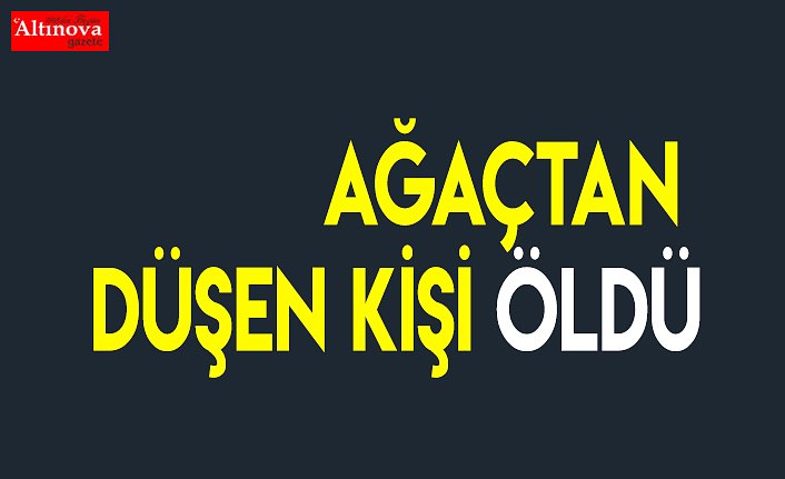Ağaçtan düşen kişi öldü