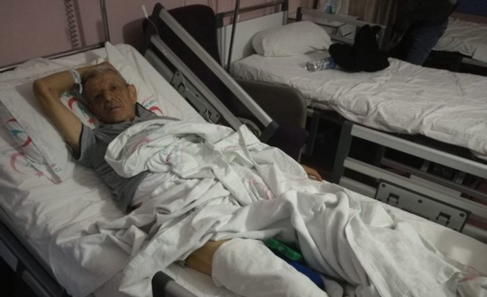 Domuz saldırısına uğrayan kişi yaralandı