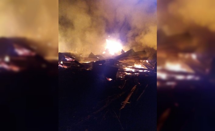 Kastamonu'da ev ve ahır yangını