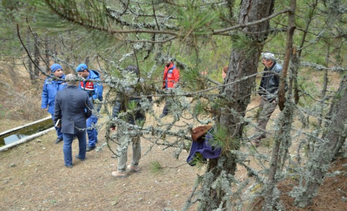 Kastamonu'da kaybolan kişi ölü bulundu