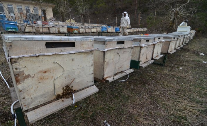 Kışlatma döneminde arı ölümlerini engelleyecek sistem