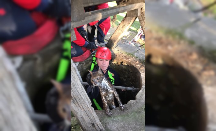 Kuyuya düşen yavru kedi kurtarıldı