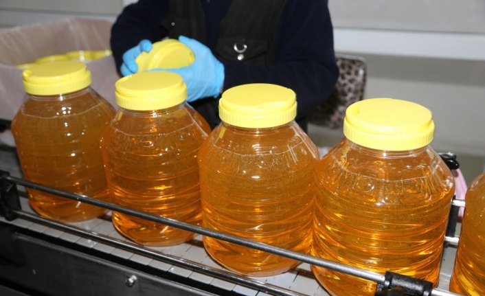 Ordu'dan Tanzanya ve Çin'e fındık yağı ihracatı