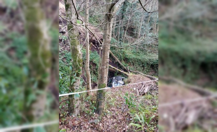 Rize'de otomobil uçuruma yuvarlandı: 1 ölü