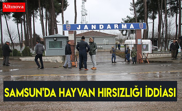 Samsun'da hayvan hırsızlığı iddiası