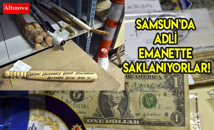 Samsun`da adli emanette saklanıyorlar!