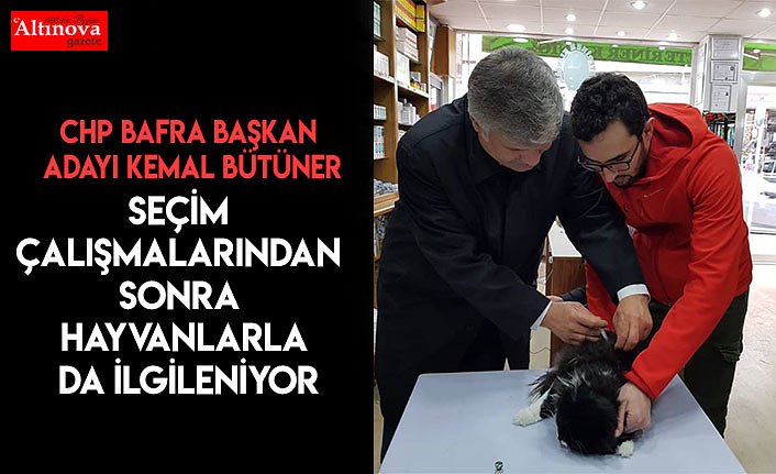 Seçim çalışmalarından sonra hayvanlarla da ilgileniyor
