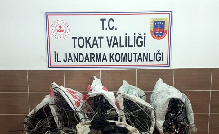 Tokat'ta kablo hırsızlığı iddiası