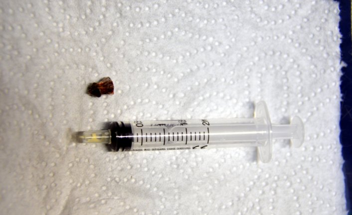 Yaralı sokak köpeği tedavi edildi