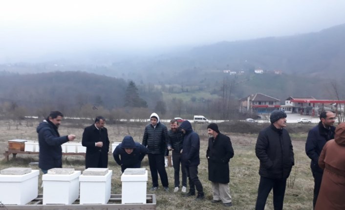 Yığılca'da arıcılık kursu başladı
