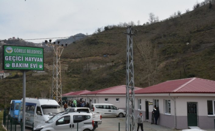 Görele'de Geçici Hayvan Bakım Evi hizmete girdi