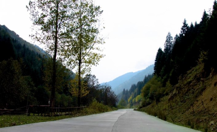 Karadeniz'de yolculuk yeşile dönüyor