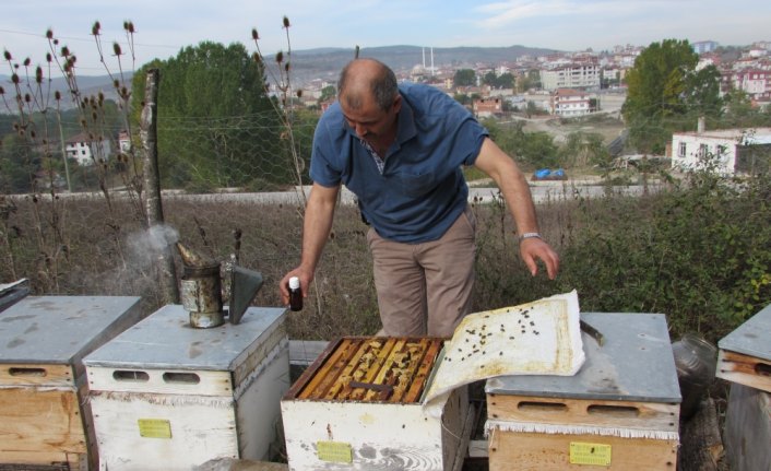 Kavak'ta arıcılara ilkbahar bakımı uyarısı