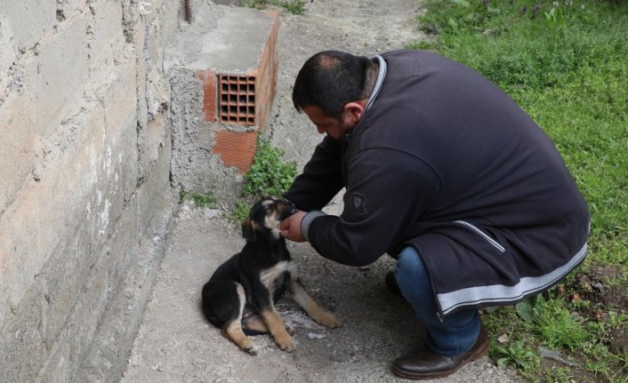Köpeği suni solunumla hayata döndürmenin mutluluğunu yaşıyor