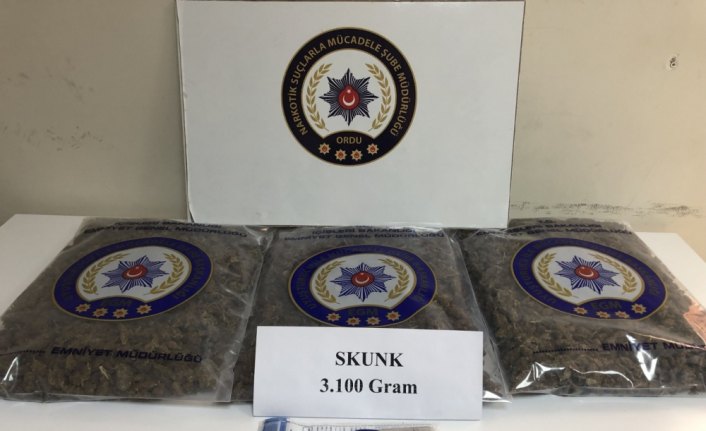Ordu'da uyuşturucu operasyonu