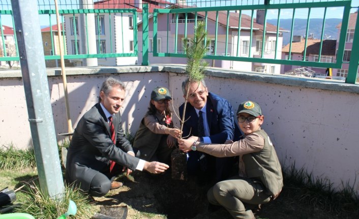 Tosya'da fidan dikimi