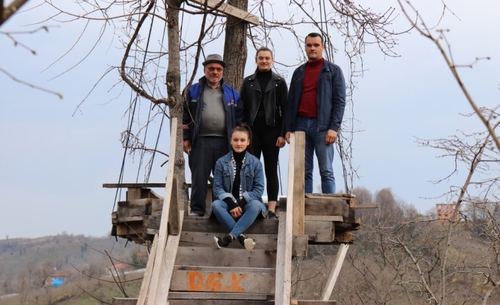 Üzümü toplayamayınca ağacın gövdesine kameriye yaptı