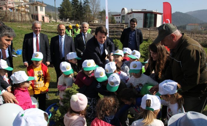 Yığılca'da 300 fidan toprakla buluştu