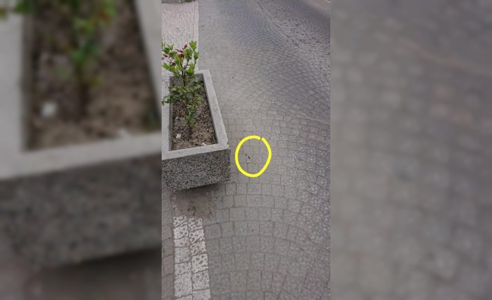 Zonguldak'ta havaya ateş açan 2 şüpheli yakalandı