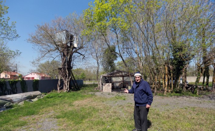 Ağaçların üzerinde 9 metre yükseklikte kulübe