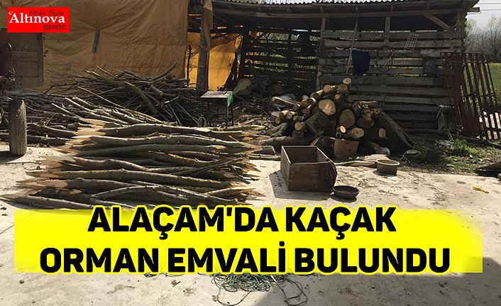 Alaçam'da kaçak orman emvali bulundu