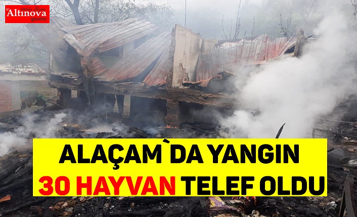 Alaçam`da yangın 30 hayvan telef oldu