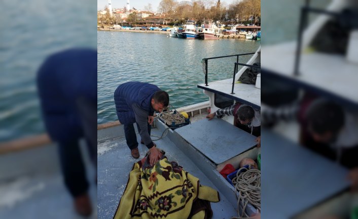 Denizdeki köpeği balıkçılar boğulmaktan kurtardı