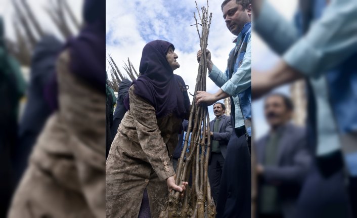 Gümüşhane'de ceviz üretimi artacak