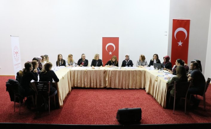 İlk Adımda 100. yılda Hemşirelik Çalıştayı