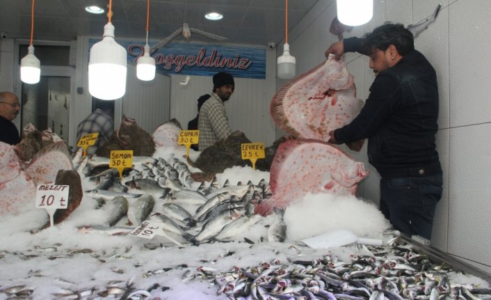 Kalkan bolluğu balıkçının yüzünü güldürdü