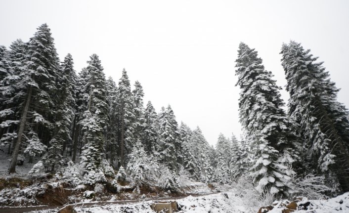 Karabük'te yüksek kesimler beyaza büründü