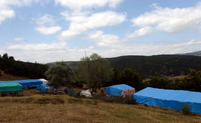 Küçük Evrim'den yaklaşık 10 aydır haber yok