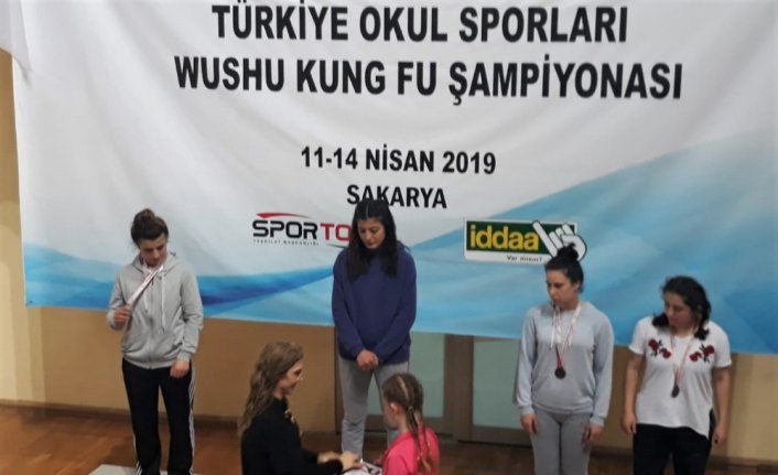 Ladikli wushu kung fu sporcularının Türkiye başarısı