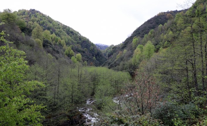 Rize'de köylülerden taş ocağı yapımına tepki