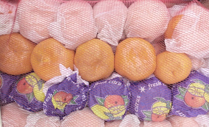 Rusya'ya ihracata domates, mandarin ve limon katkısı