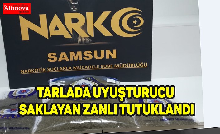 Samsun'da tarlada uyuşturucu saklayan zanlı tutuklandı
