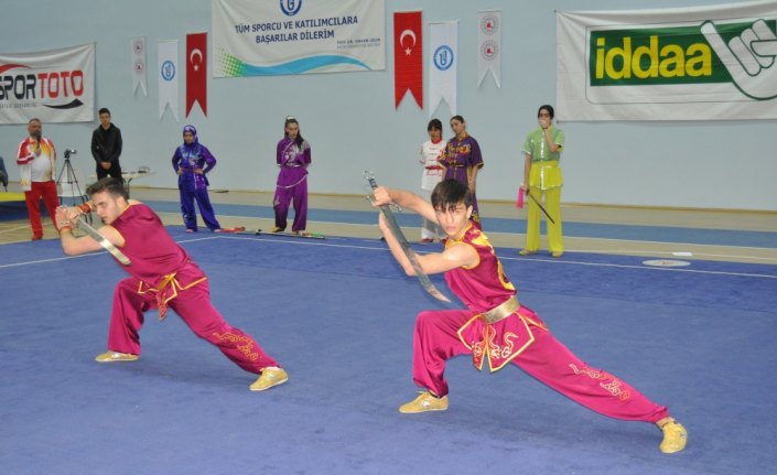 Türkiye Üniversitelerarası Wushu, Sanda ve Taoulu Şampiyonası