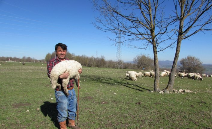 Yayla göçü öncesi sürü sahiplerine aşı uyarısı