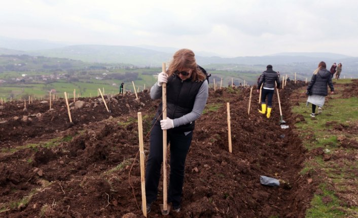 YEDAŞ, Atatürk'ün Samsun'a çıkışının 100. yılı için fidan dikti