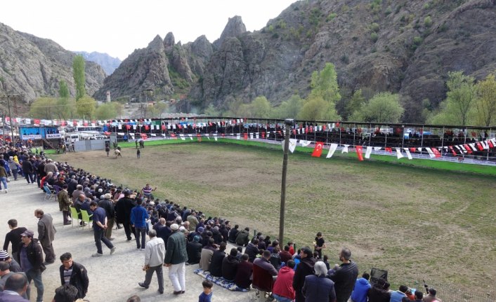 Yusufeli Geleneksel Derekapı Boğa Güreşleri Festivali