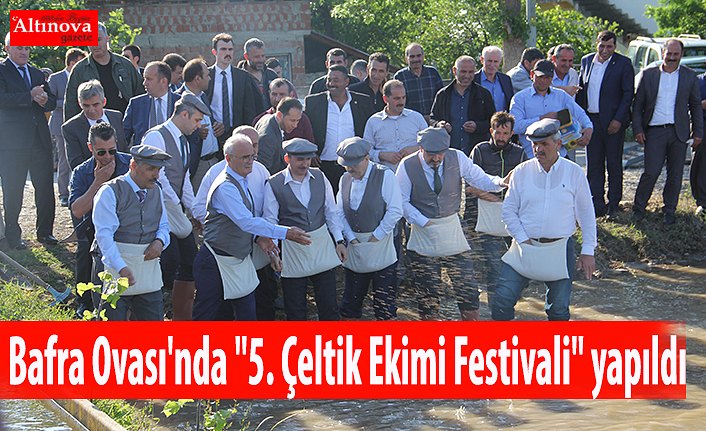 Bafra Ovası'nda "5. Çeltik Ekimi Festivali" yapıldı