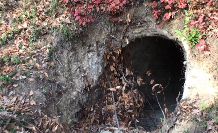 Bartın'da 20 metrelik 