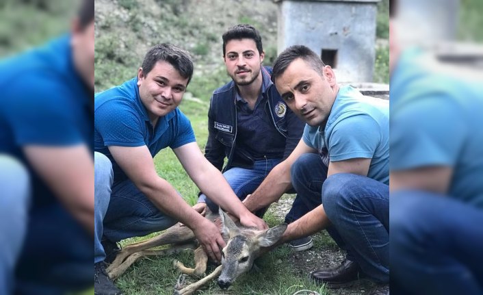 Çamura saplanan karaca yavrusunu çiftçiler kurtardı
