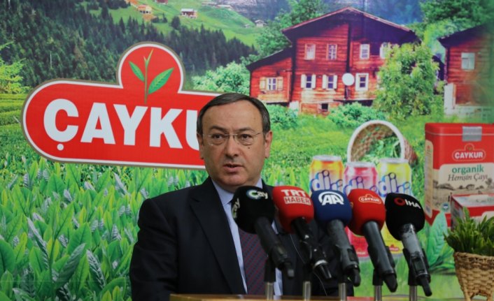 ÇAYKUR yaş çay alımlarına yarın başlayacak