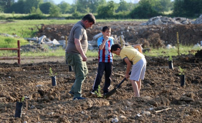 Düzce'de otomobil tutkunları 1919 fidan dikti