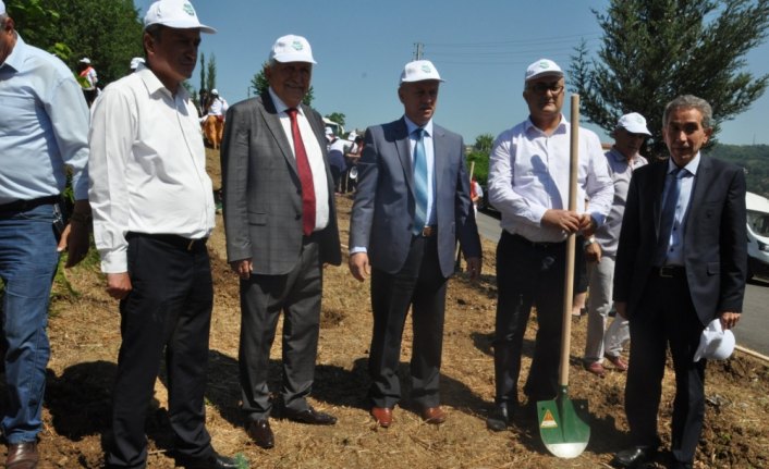 Ereğli'de fidan dikimi gerçekleştirildi