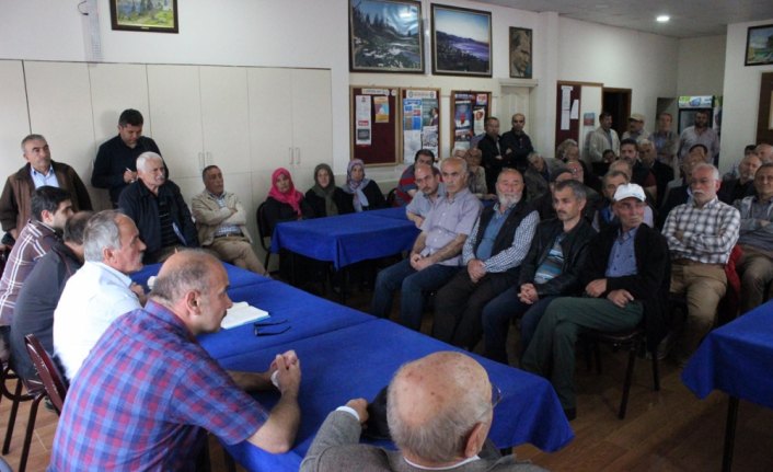 Eynesilli çay üreticileri özel sektör fiyatından şikayetçi