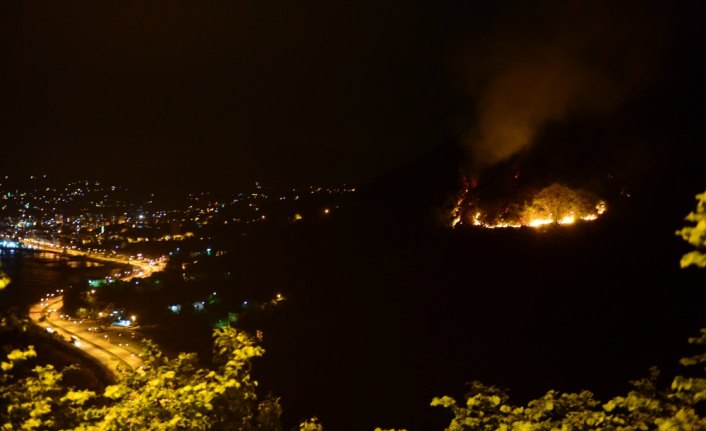 Giresun'da örtü yangını