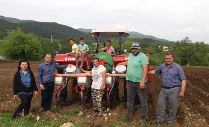 Mengen'de 20 dönüm araziye kuru fasulye ekildi