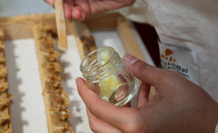 Ordu arı sütü üretiminde iddialı